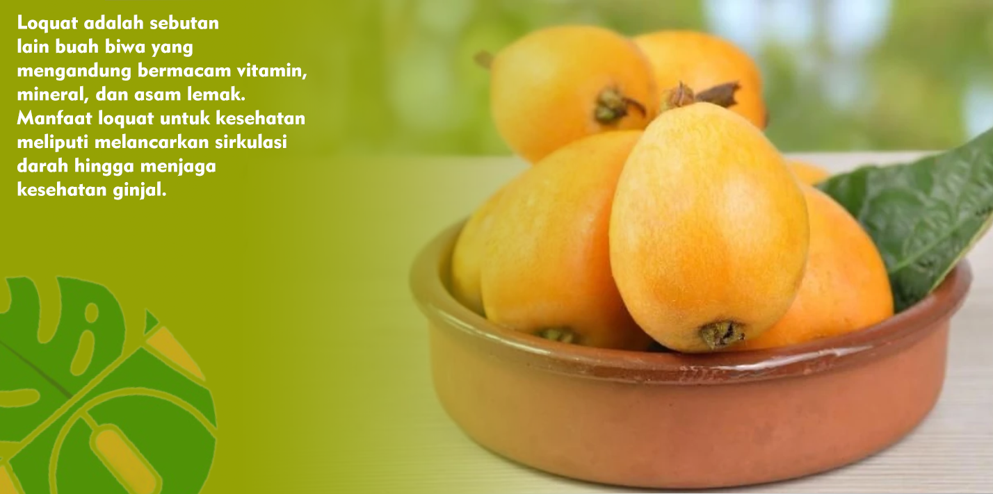Ini Dia Kandungan Nutrisi Serta Khasiat Buah Loquat
